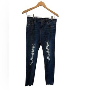 Wild Fable Navy Ripped Skinny Jeans